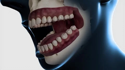 Teeth Overview Stock-Footage 274535873