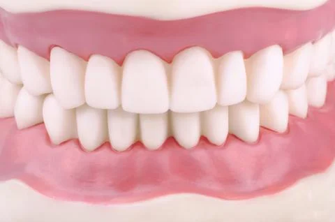 Teeth Stock Photos