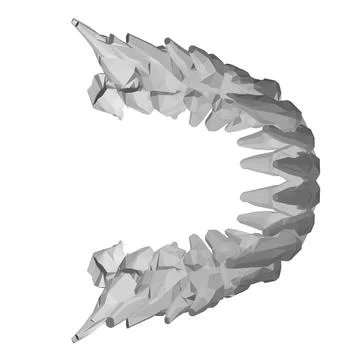 Teeth polygonal. Hand drawn different types of human tooth collection. Dentis Stock Illustration