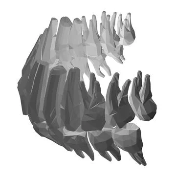 Teeth polygonal. Hand drawn different types of human tooth collection. Dentis Illustrazione stock