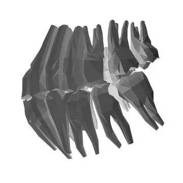 Teeth polygonal. Hand drawn different types of human tooth collection. Dentis Stock Illustration