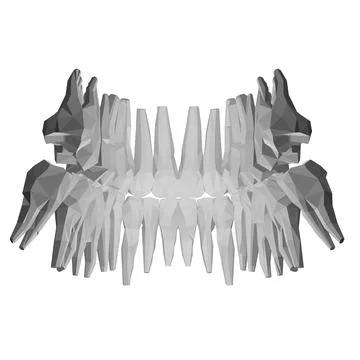 Teeth polygonal. Hand drawn different types of human tooth collection. Dentis Stock Illustration