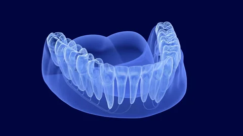Teeth root anatomy, Xray view. Medically accurate dental 3D animation. Stock Footage 128355812