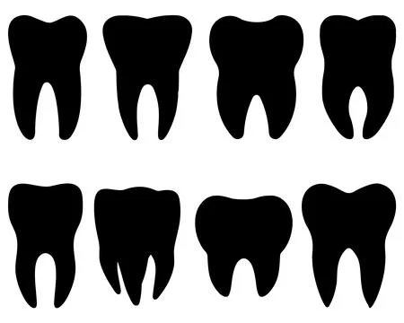 TEETH SILHOUETTE VECTOR ART Stock Illustration