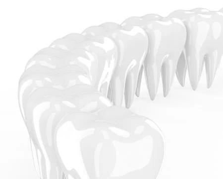 Teeth on white Stock Illustration