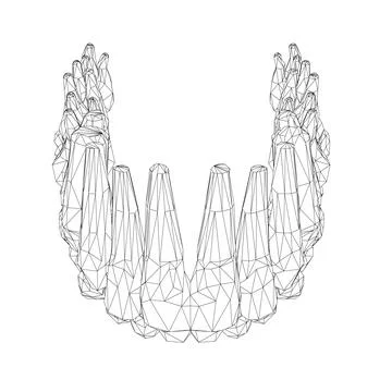 Teeth wireframe. Hand drawn different types of human tooth collection. Dentis Stock Illustration