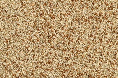 Teff Stock Photos