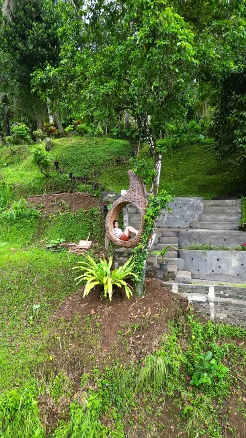 Tegallalang10 스톡 동영상 239630624