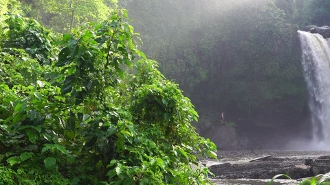 Tegenungan waterfall in Bali 動画素材 75248346