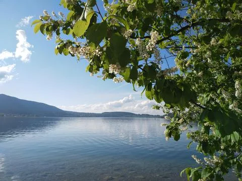 Tegernsee Stock Photos