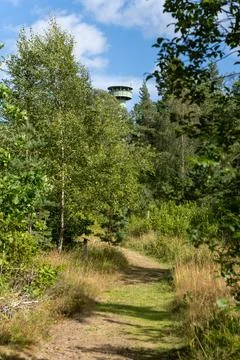 Tegner Tower watchtower behind trees in Sweden Stock Photos