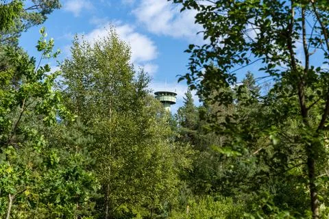 Tegner Tower watchtower behind trees in Sweden Stock Photos