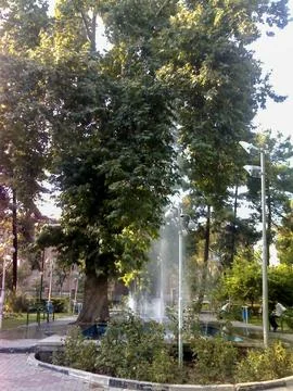 Tehran Park Stock Photos