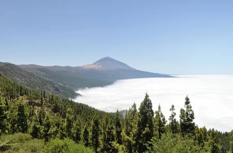 Teide dominates the sea of clouds Stock Photos