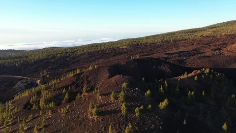 Teide national park Video stock 110882597