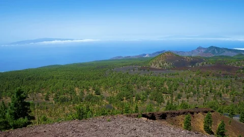 Teide National Park Stock Footage 113192723