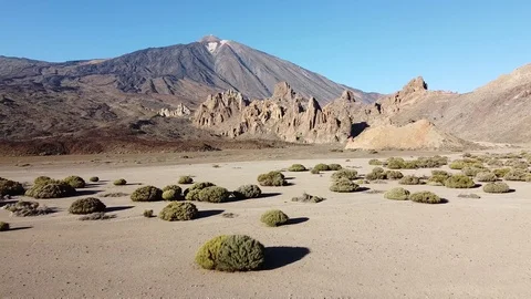 Teide national park Stock Footage 124690915