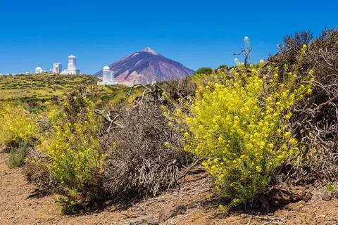 Teide Stock Photos