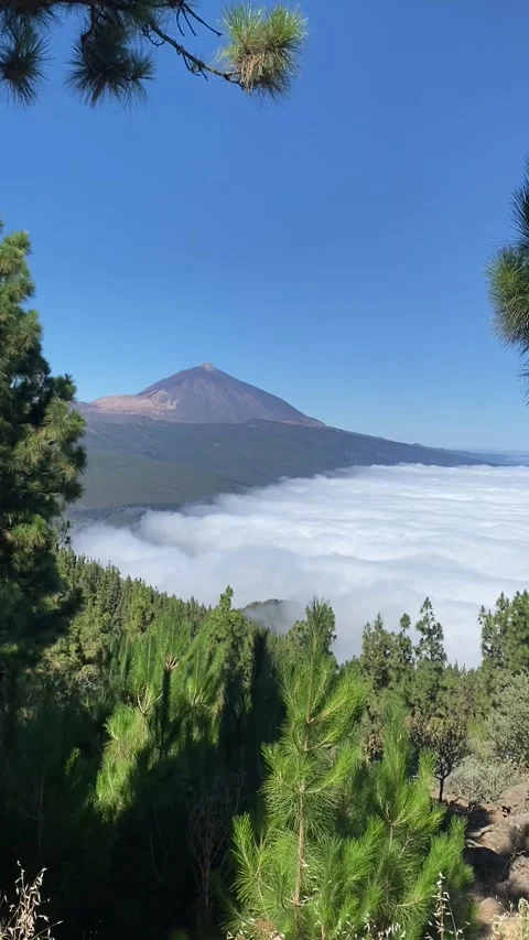 Teide Volcano and the sea of clouds from the Mirador de Chipeque in Tenerife Stock Footage 309673586