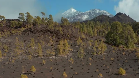 Teide volcano covered with snow а rare phenomenon for the Canary Islands. 스톡 동영상 105949193
