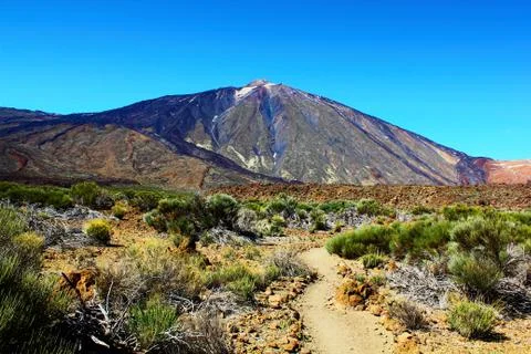 Teide volcano Stock Photos