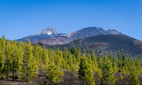 Teide volcano view from Samara mountain Stock Photos