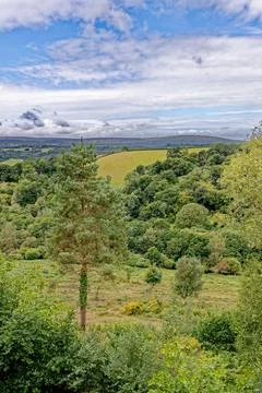 Teign Gorge Valley View from Castle Drogo Ramparts Devon Foto stock