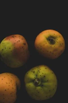 Tejocote fruit macro close up Stock Photos