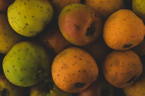 Tejocote fruit macro close up Stock Photos