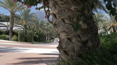 Tekirova, Turkey - August 26, 2019: White Range Rover vogue comes at Rixos Hotel 스톡 동영상 120415258
