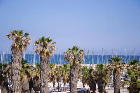 Tel Aviv beach Stock Photos