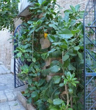 Tel Aviv Jaffa Foto stock