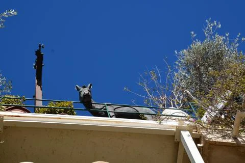Tel Aviv Jaffa 스톡 사진