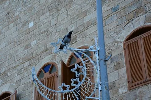 Tel Aviv Jaffa Stock Photos