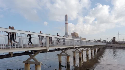 Tel Aviv Marathon 2019 Stock Footage 111334948