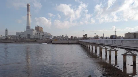 Tel Aviv Marathon 2019 Stock Footage 111340101