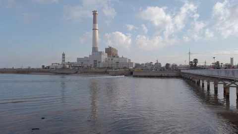 Tel Aviv Marathon 2019 Stock Footage 111393806