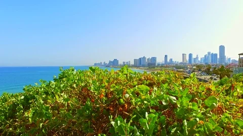 Tel Aviv Mediterranean sea beach with city skyline Stock Footage 73607095