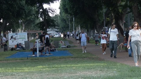 Tel Aviv Rotschild Boulevard Video stock 105624324