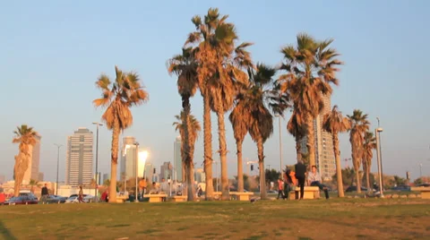 Tel Aviv seaside Video stock 34424357