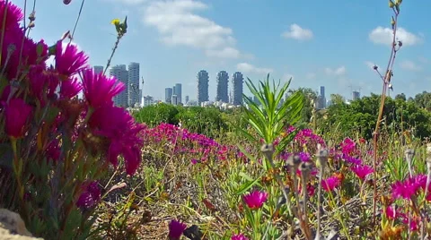 Tel Aviv view of the city Stock Footage 50408761