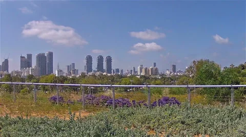 Tel Aviv view of the city3 Stock Footage 50415349