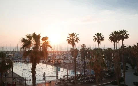 Tel avivSunset at Tel Aviv Port, Israel. Palm trees and ships at sunset. Stock Photos