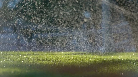 Tele-shot of spraying grass with dense jet of water in public park Stock Footage 91587129