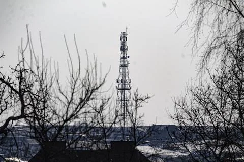 Telecom tower framed by bare winter trees Stock Photos