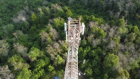 Telecom tower in green forest Stock Footage 321389625
