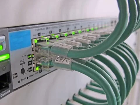 Telecommunication cables for computer certificates on the  jacks 写真素材