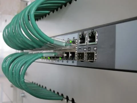 Telecommunication cables for computer certificates on the  jacks 写真素材