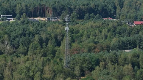 Telecommunication cell tower standing in a forest 스톡 동영상 348213455