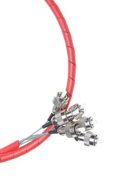 Telecommunication fiber optical patch cords fc 스톡 사진